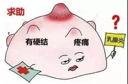 产后哺乳期碰上乳腺炎，简直要命！